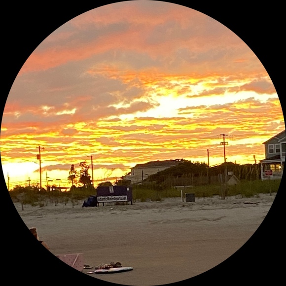 zp1137533